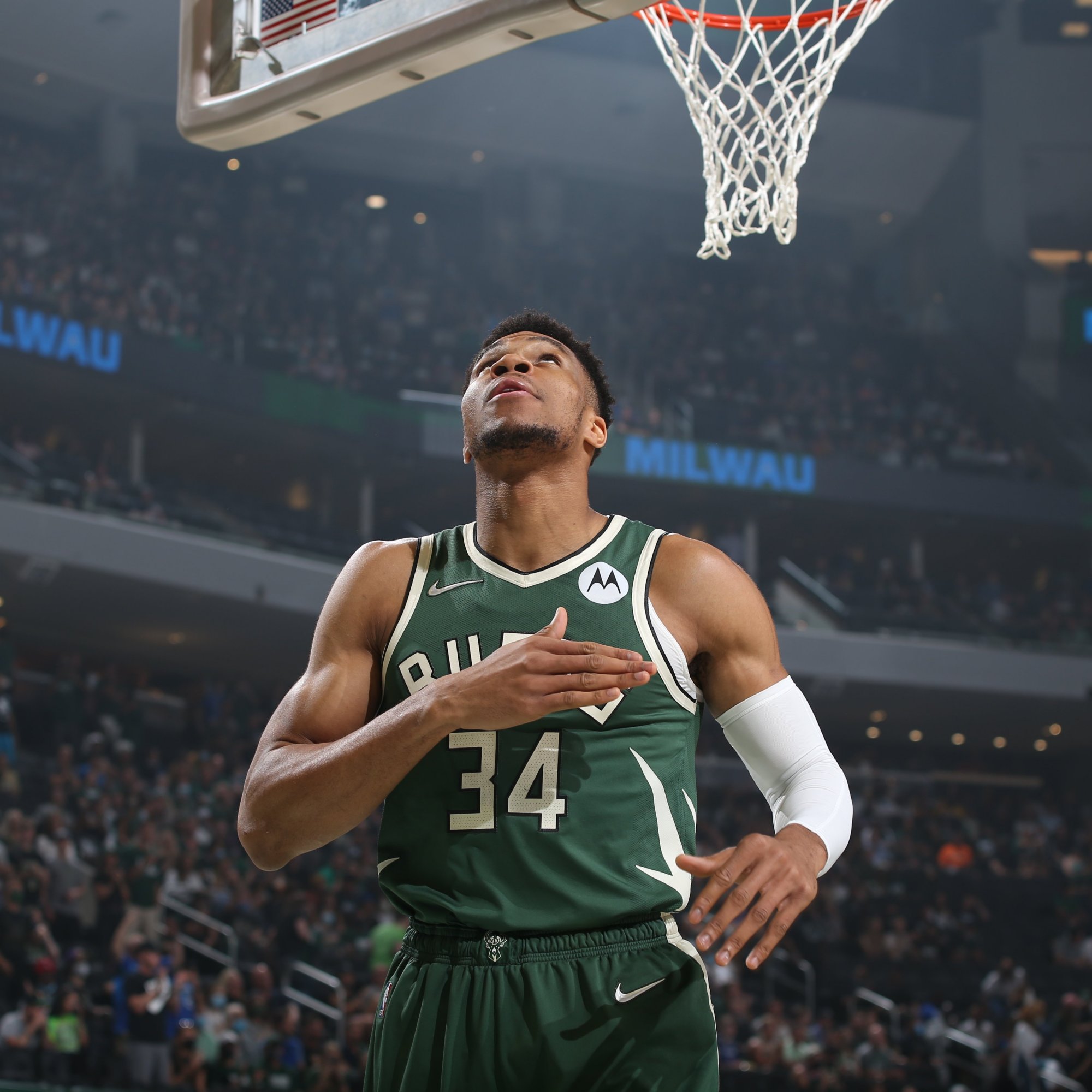 五入门作 五入门作